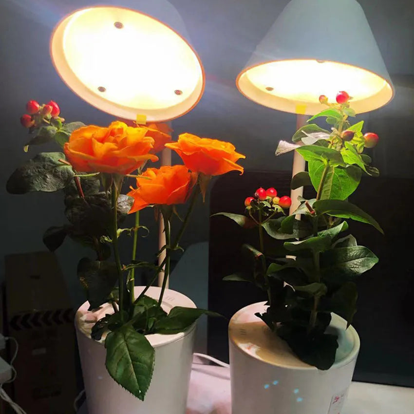 White plastic desktop hydroponic growth machine for soilless plant cultivation.