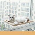 Grey cat lying on an Oxford cloth pet litter sucker hanging window hammock with suction cups attached to glass