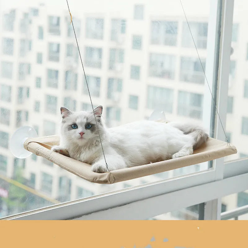 Grey cat lying on an Oxford cloth pet litter sucker hanging window hammock with suction cups attached to glass