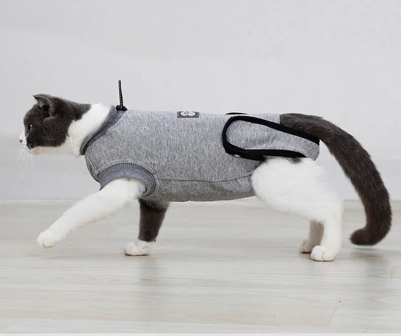 Pet cat recovery suit after surgery made of pure cotton in a neutral colour for wound protection