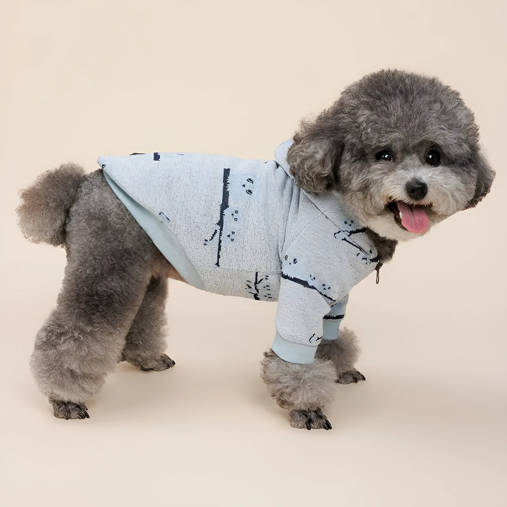 Blue cotton dog sweater with front zipper closure shown on small dog