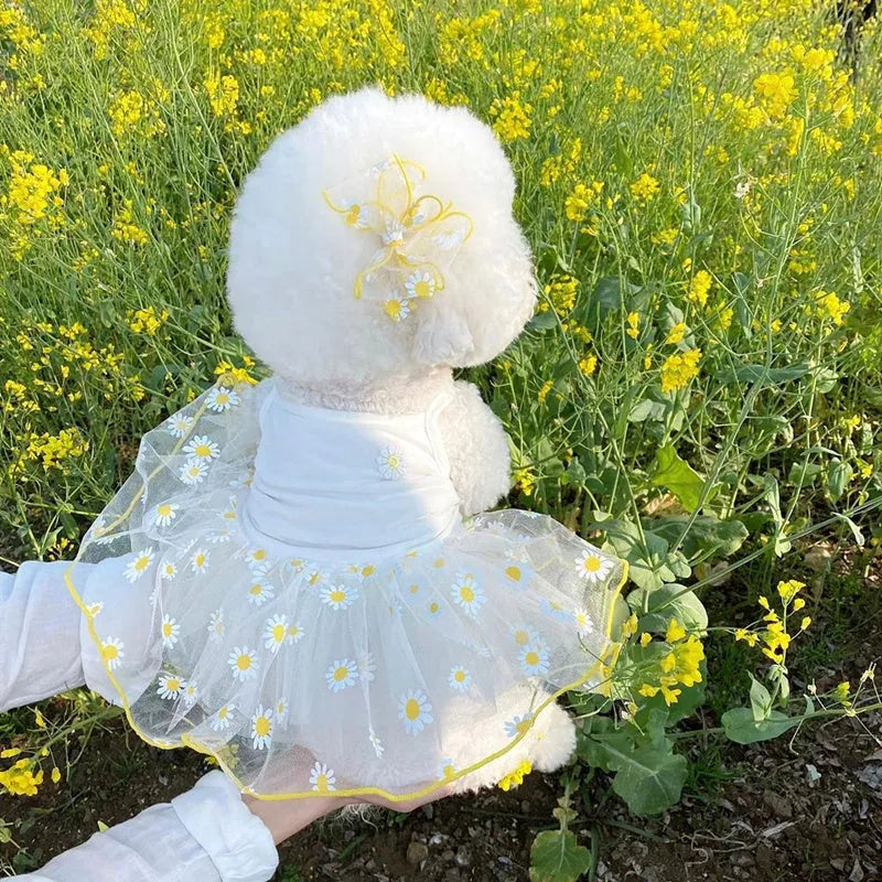 Yellow daisy print dog summer clothes thin polyester outfit for dogs