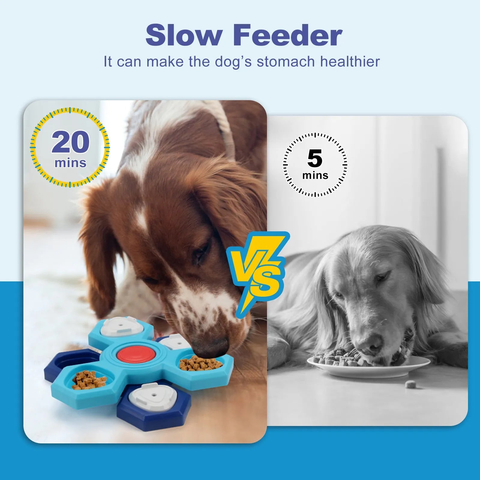 Blue 4-layer plastic puzzle slow feeder dog bowl on floor, assembled with non-slip base