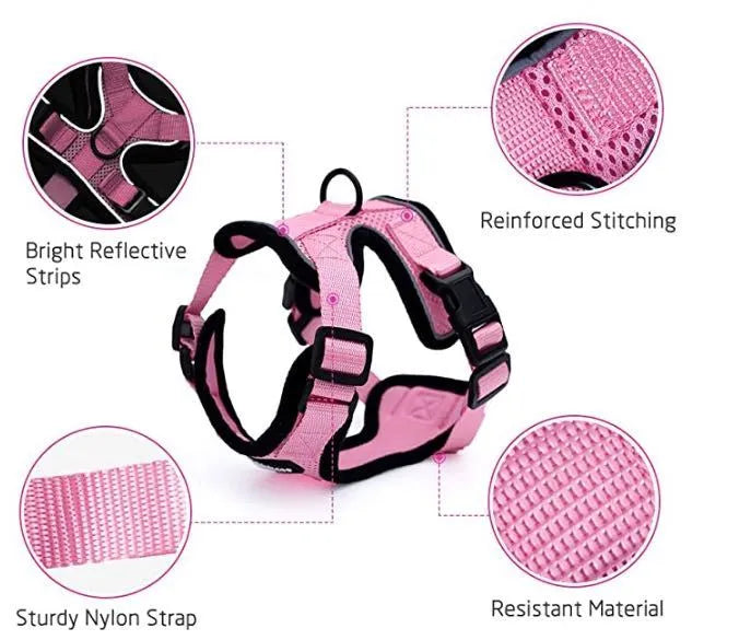 Escape proof reflective cat vest harness with car seat belt adapter for kittens