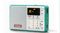 Tecsun Q3 digital audio player and FM radio recorder in multiple colour options on a white background.