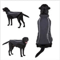 Cotton dog winter coat in black on a small dog standing outdoors