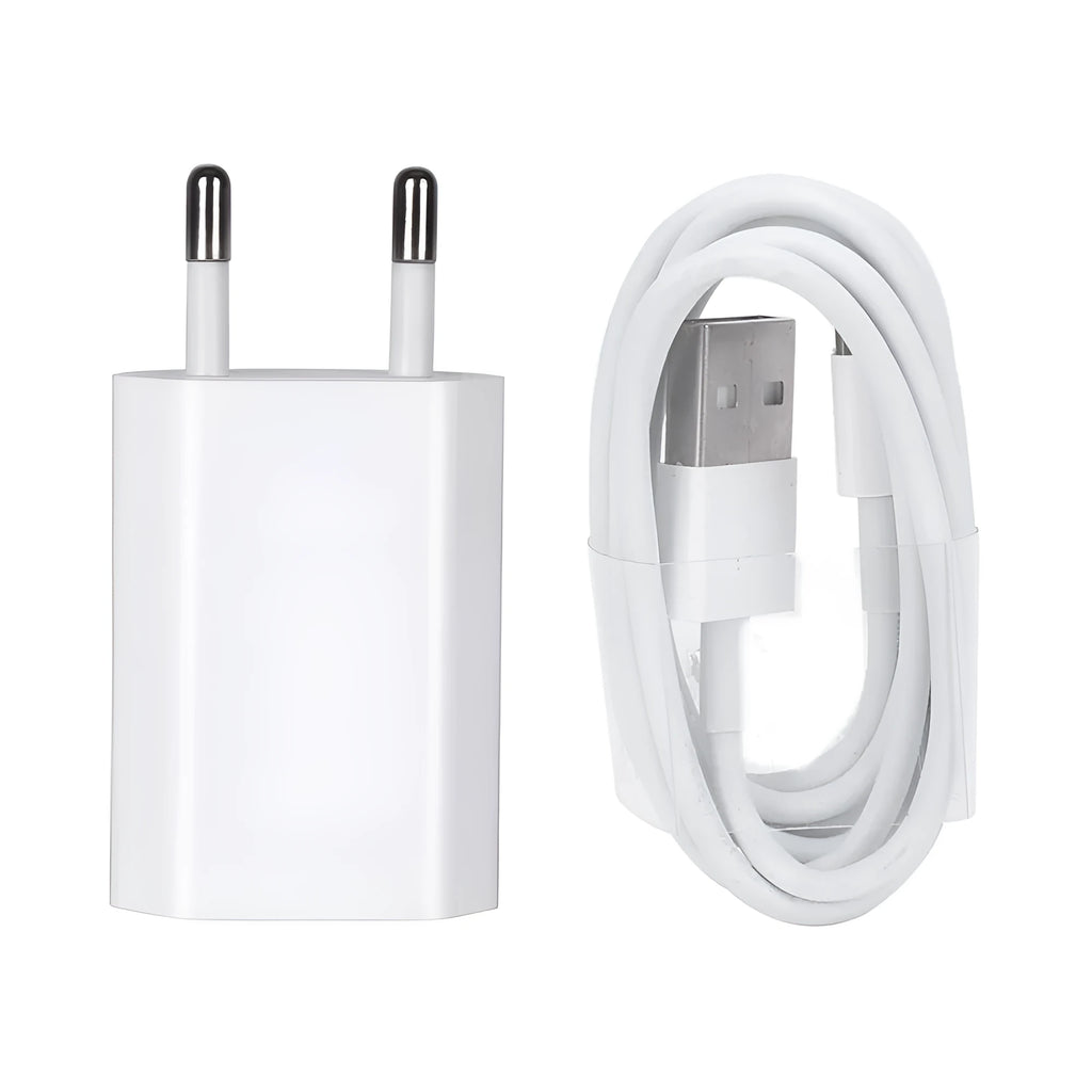 5V 2A USB travel charger compatible with iPhone and iPad models with charging cable