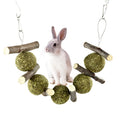 Natural grass balls and apple branches hanging chew toys for small pets on a cage bar
