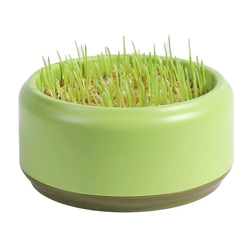 Hydroponic cat grass growing kit with soilless cup and five seed packs in blue, green or yellow colours