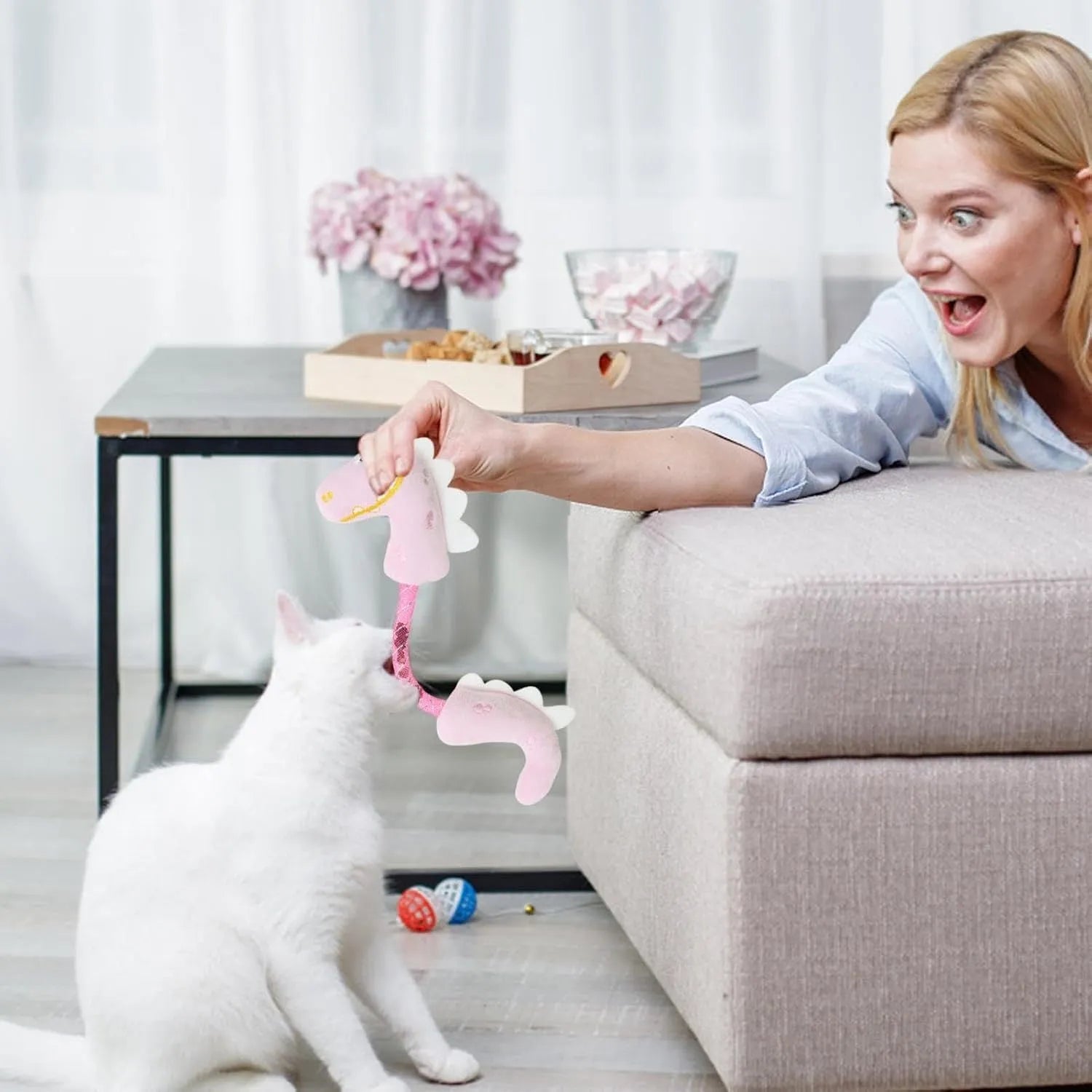 Four cat toys including rope, spring, kicker and plush types for indoor feline entertainment
