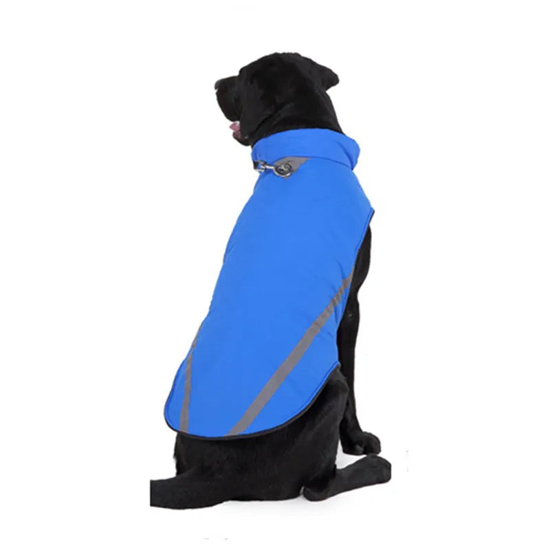 Cotton dog winter coat in black on a small dog standing outdoors