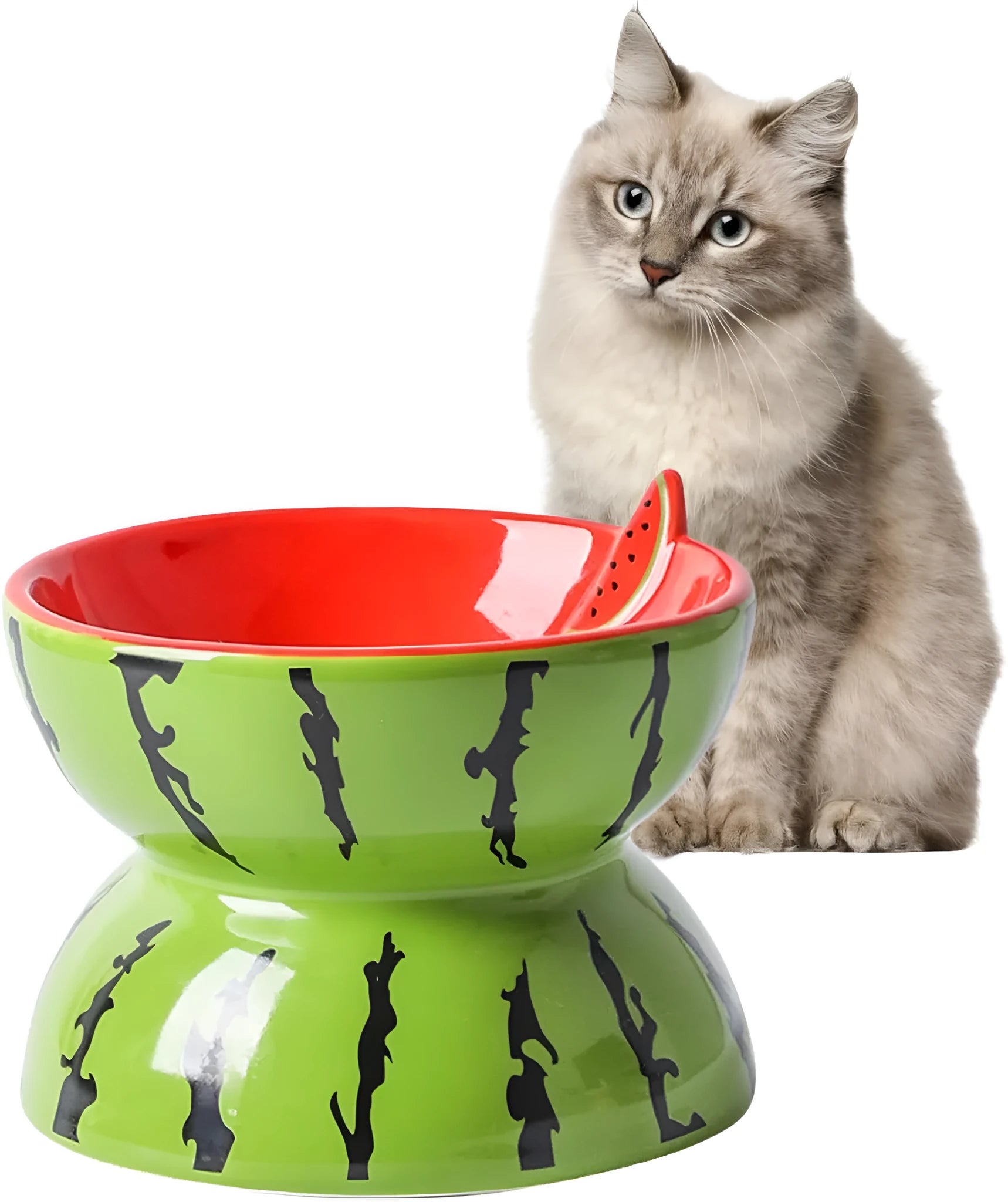 Orange patterned ceramic raised cat bowl with wide tilted dish on non-slip base.