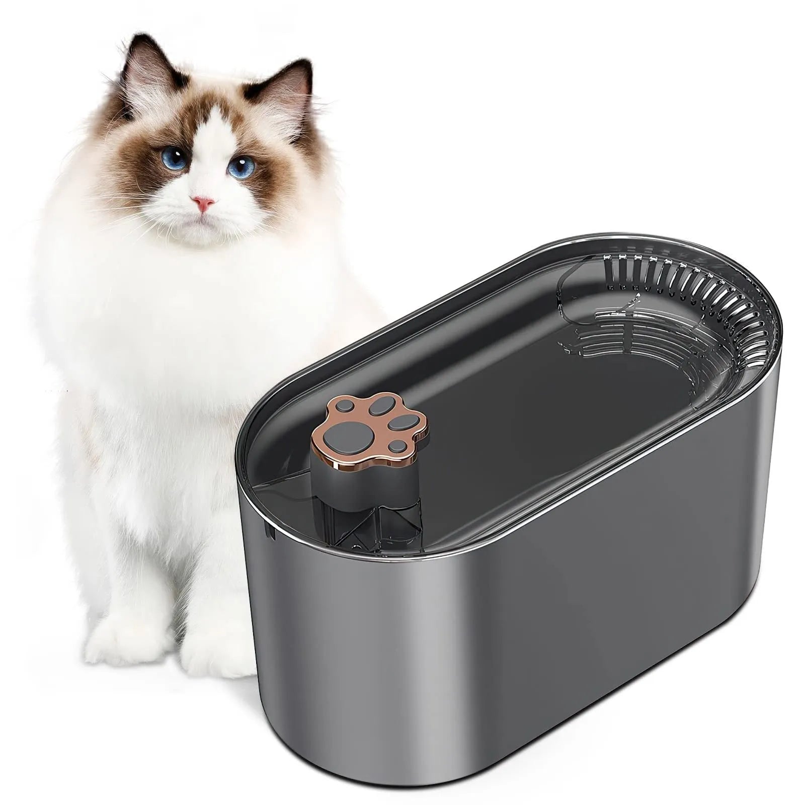 3L automatic pet water fountain with quiet pump and LED light for cats and dogs