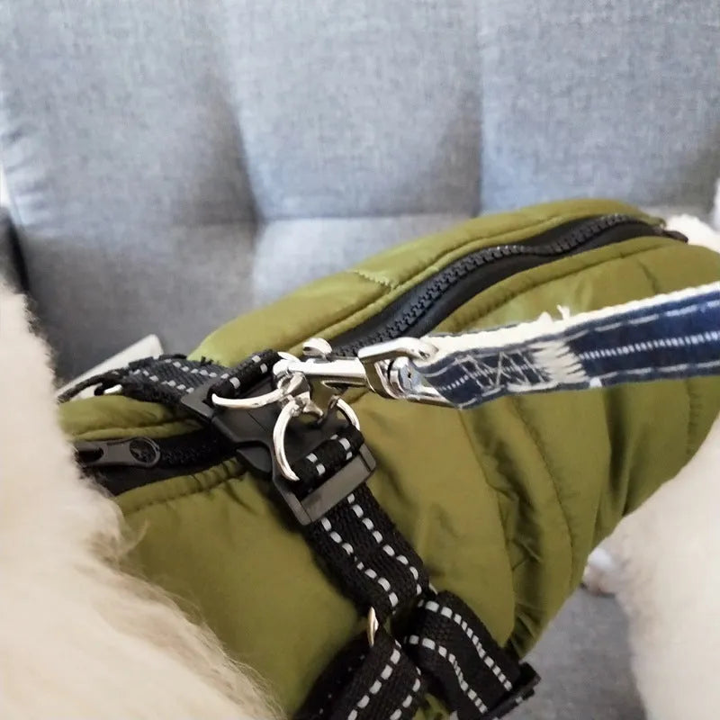 Red waterproof dog coat with an integrated harness on a dog, for winter weather.