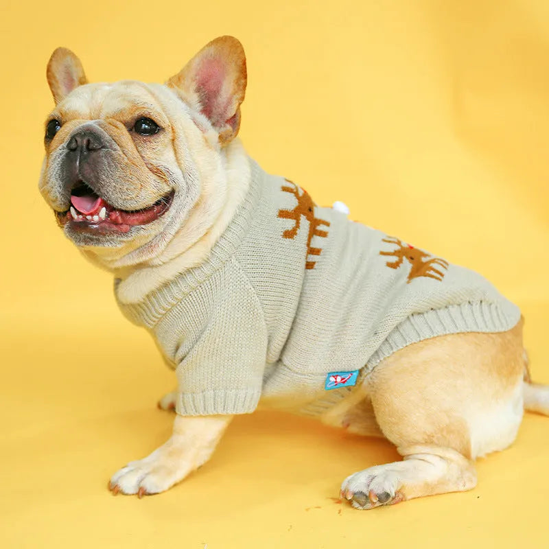 Grey acrylic pet Christmas sweater with elk pattern French style on a dog