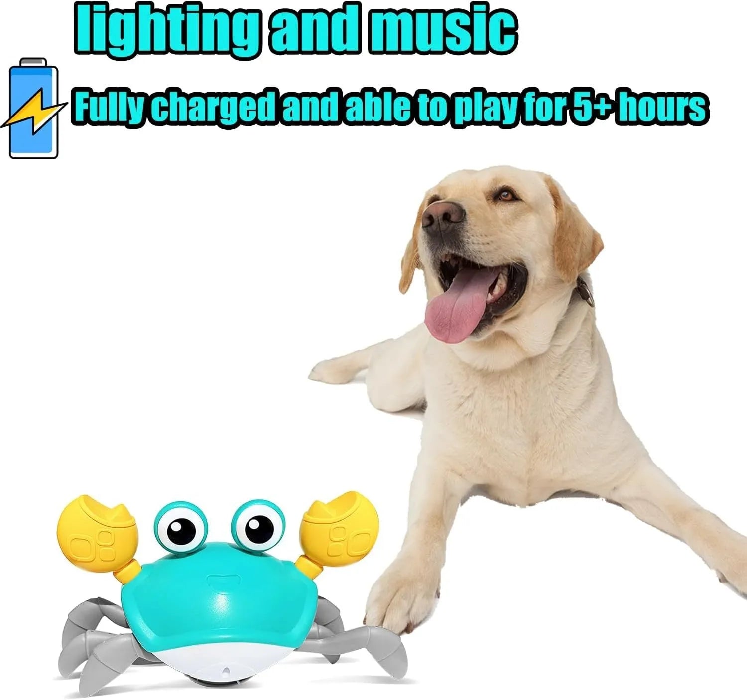 Blue or red electronic crab dog toy with lights, shown moving sideways on a floor.