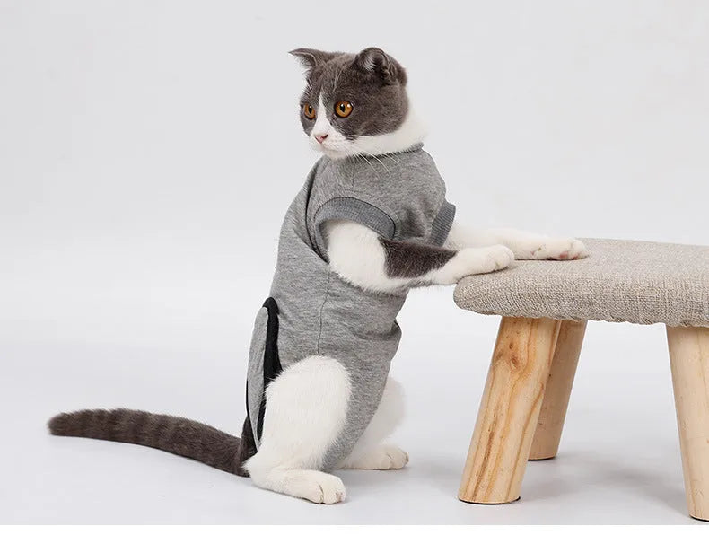 Pet cat recovery suit after surgery made of pure cotton in a neutral colour for wound protection