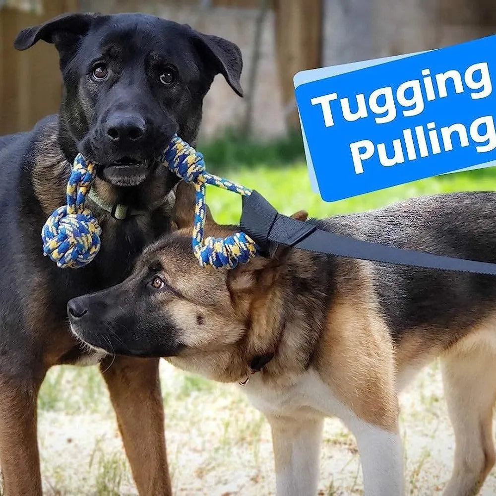 Green cotton rope tug toy for dogs with corncob design for bite-resistant tug of war games