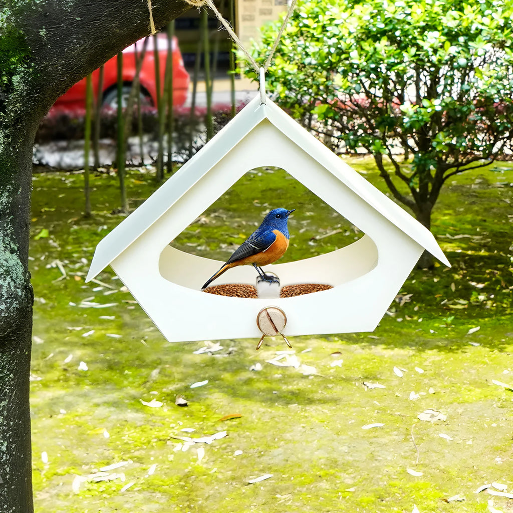 European-style iron bird nest feeder with anti-rain roof in modern simple design for garden decoration.