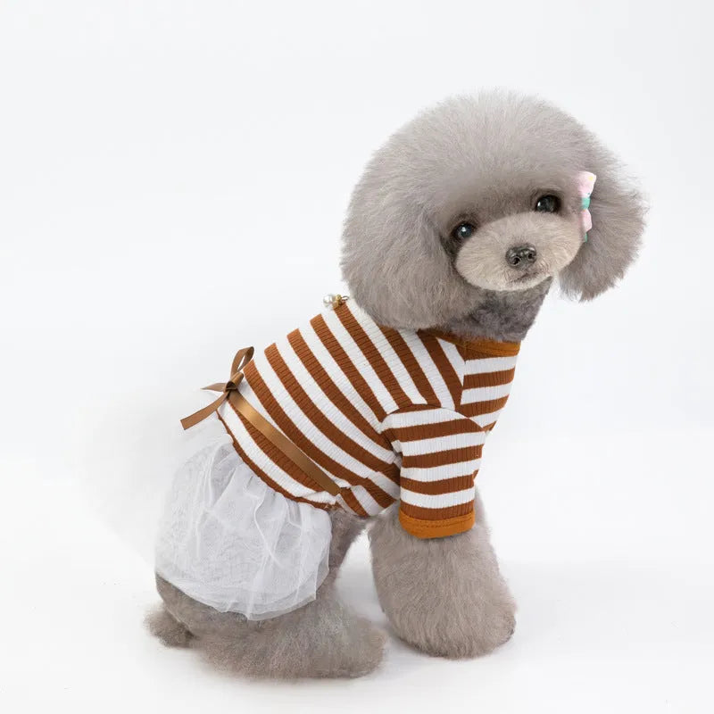 Bears Teddy cotton pet skirt for small female dogs in coffee colour