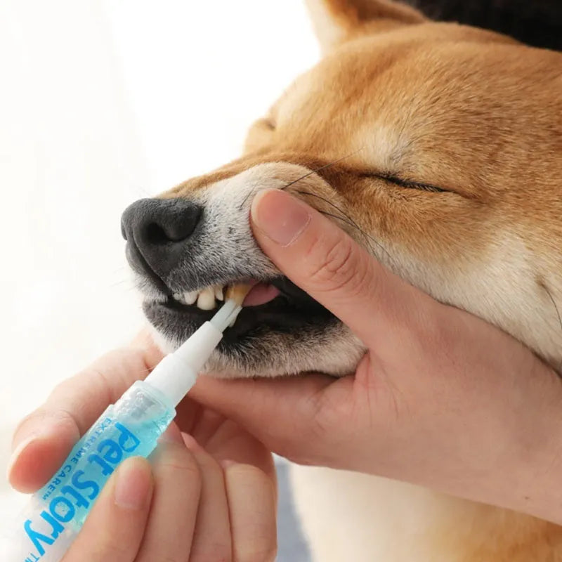 Pet tooth whitening pen kit for dogs and cats with two 5ml pens and soft brush head