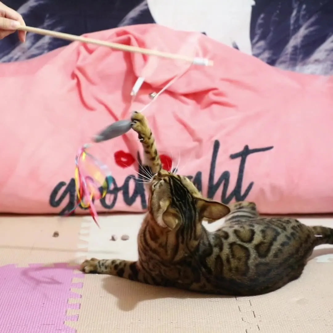 Blue cat wand toy with colourful ribbons, a catnip fish, and a bell on a wooden handle.