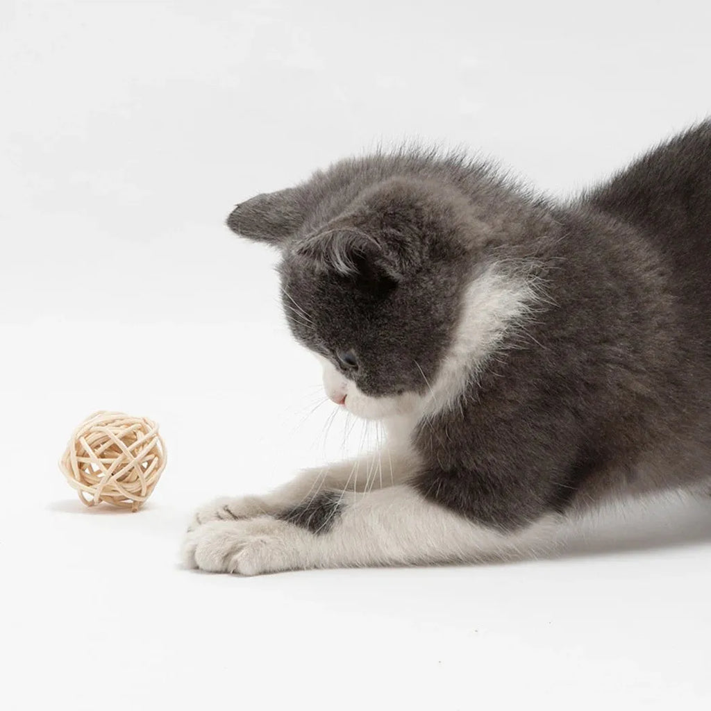 Two cat toys: a hollow rattan ball and a faux feather ball with a bell on a white background.