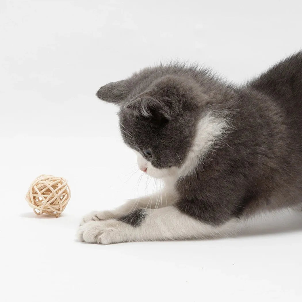 Two cat toys: a hollow rattan ball and a faux feather ball with a bell on a white background.