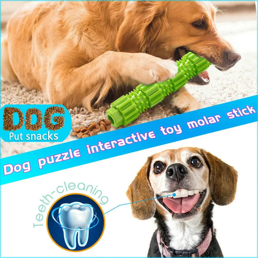 Green and orange durable rubber dog chew toy for aggressive chewers with treat dispensing opening