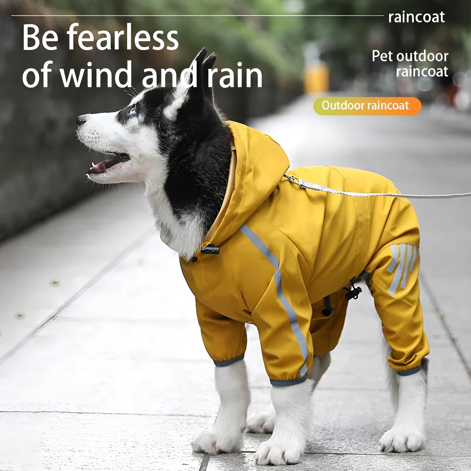 Cape-style dog raincoat in blue with reflective stripe, five sizes from S to XXL