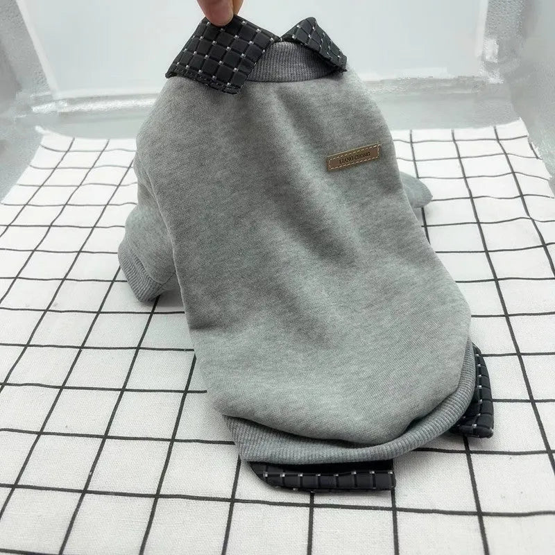 Grey dog sweater with detachable collar hoodie on pet model