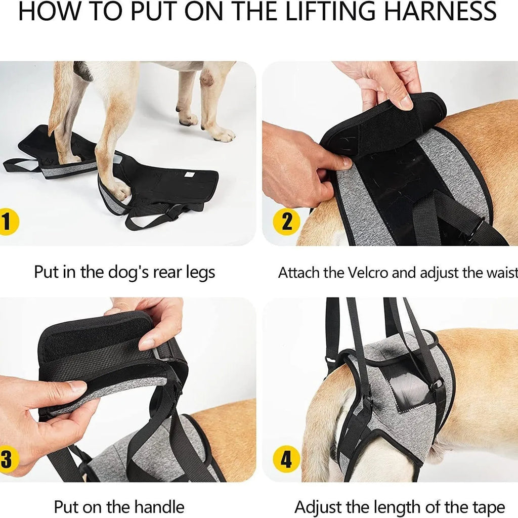 Grey neoprene dog rear leg recovery belt showing adjustable design for injury support