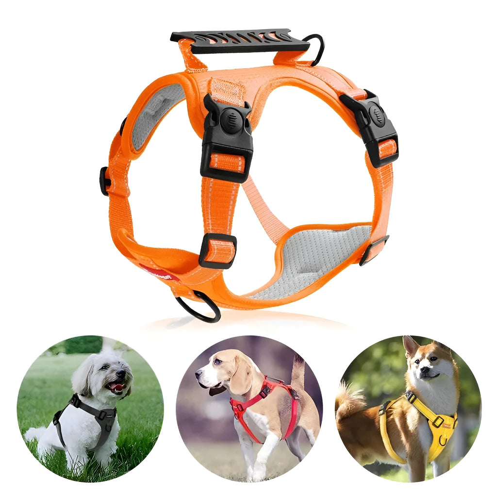 Adjustable dog harness and lead set in multiple colours with chest strap design