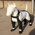 Black waterproof non-slip dog paw protectors showing size range XS to XXL