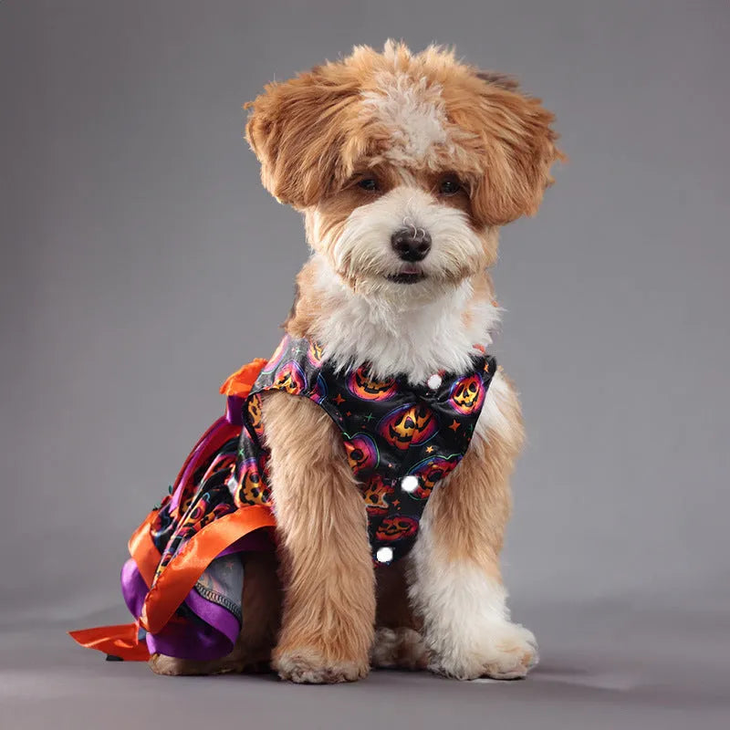 Colourful Halloween dog skirt with pumpkin or skull design, double-layer polyester construction