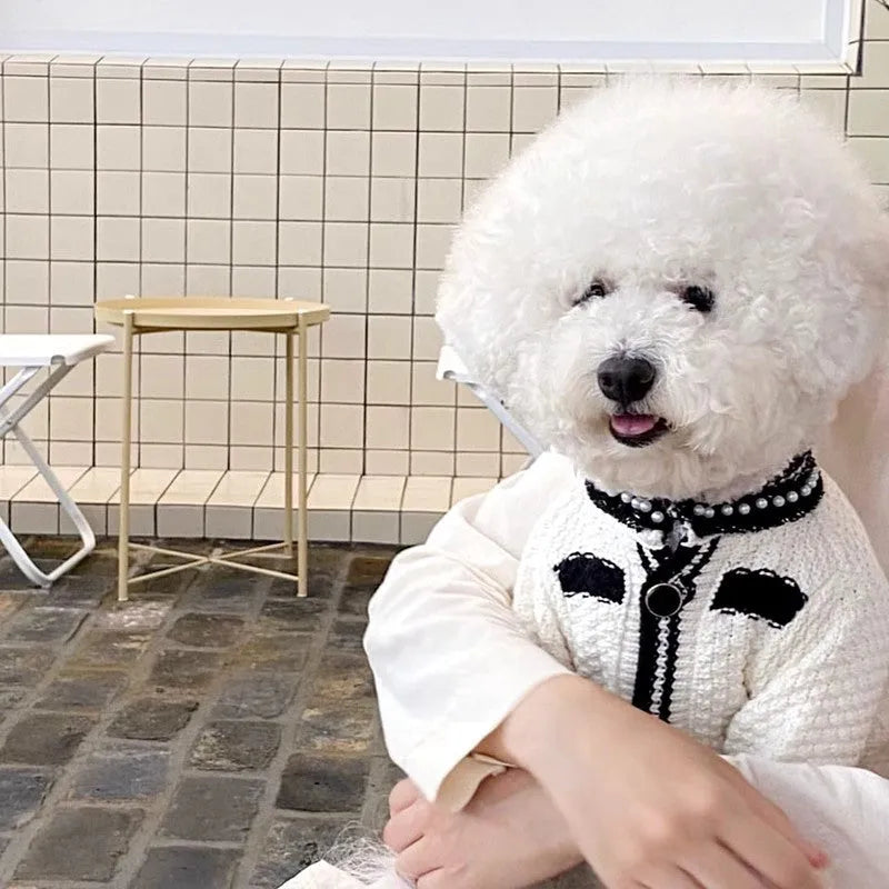 Korean-style dog sweater with pearl collar in black and white colours showing princess cut