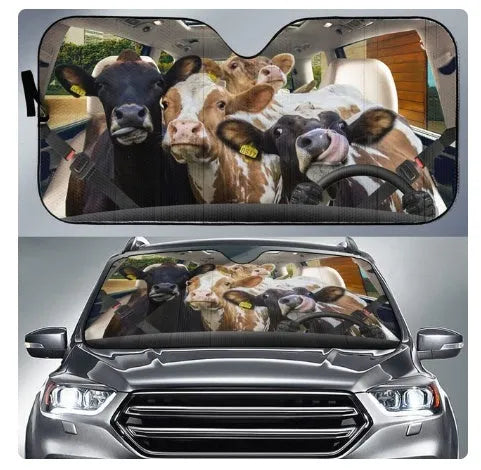 Aluminium foil telescopic car sun visor shown extended on a car windscreen.