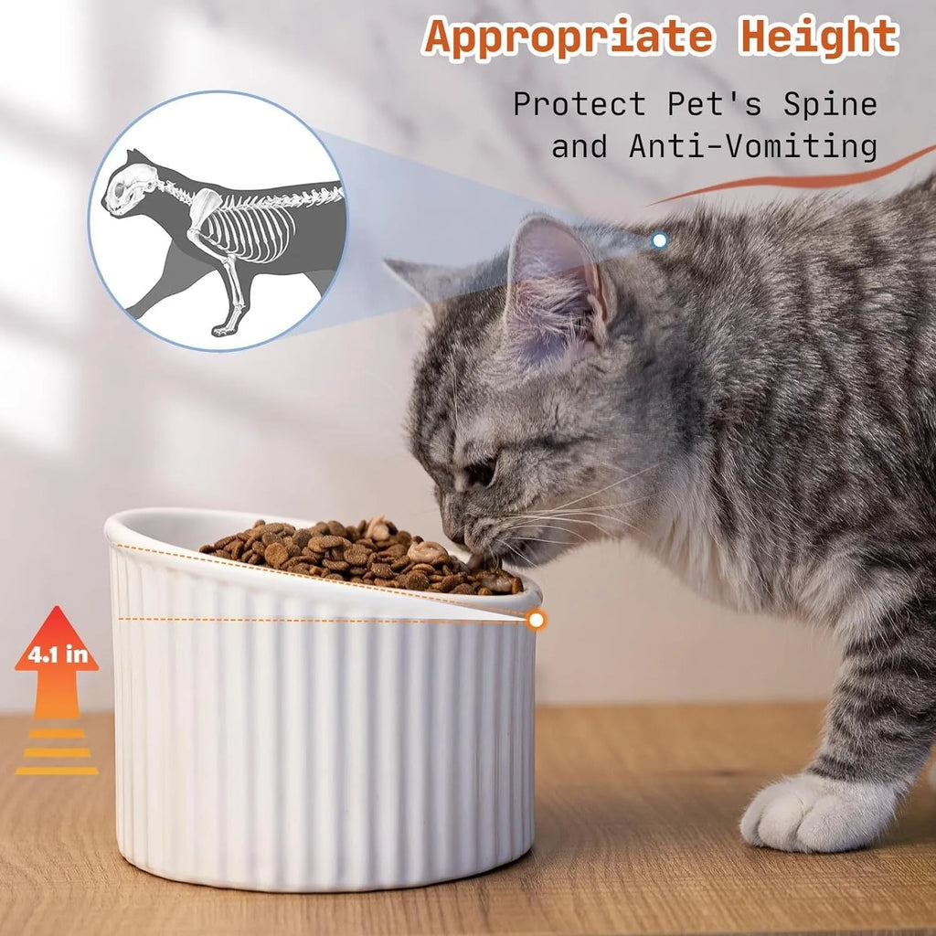 A dark green ceramic elevated cat bowl with a tilted, round design on a wooden surface.