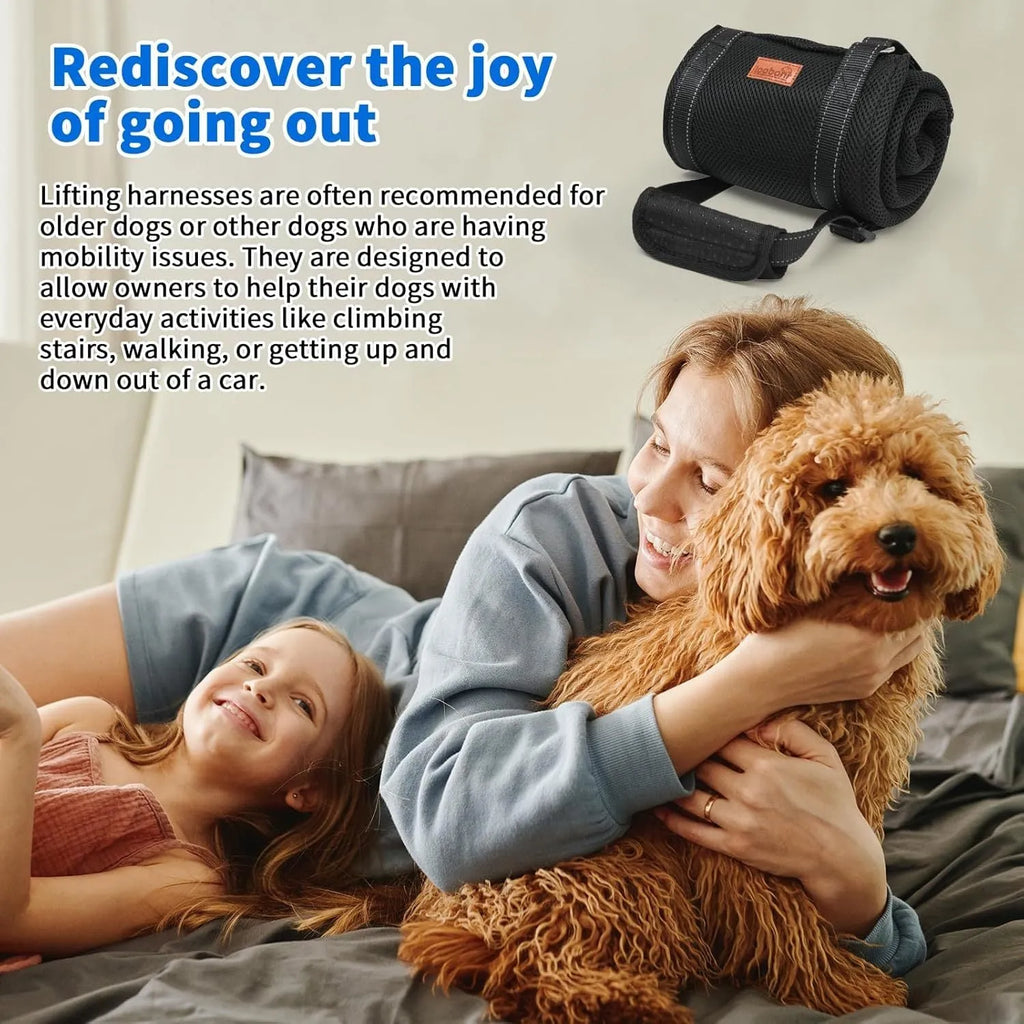 Adjustable dog sling supporting hind legs and buttocks with reflective straps and soft liner.