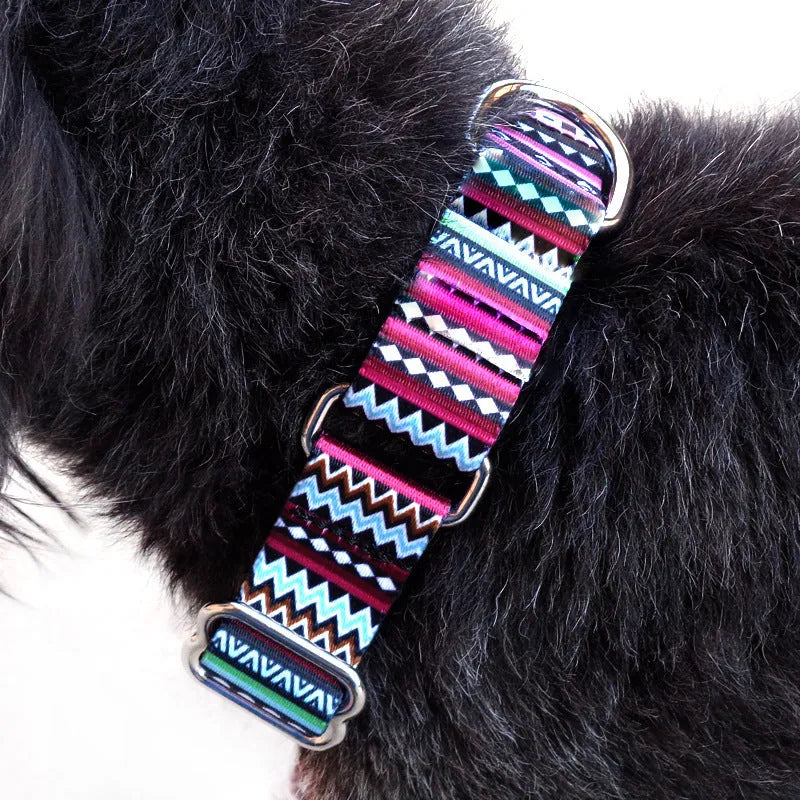 Colour stripe digital printing pet rope collar with purple arrow gradient pattern on polyester material