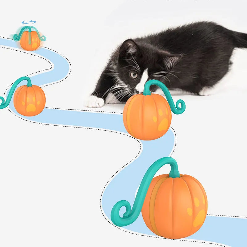 Electric luminous cat teaser ball in pumpkin or watermelon design with automated rotation