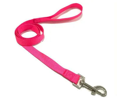 Solid colour nylon dog walking leash in blue held in a hand, showing the single rope design and hand loop.