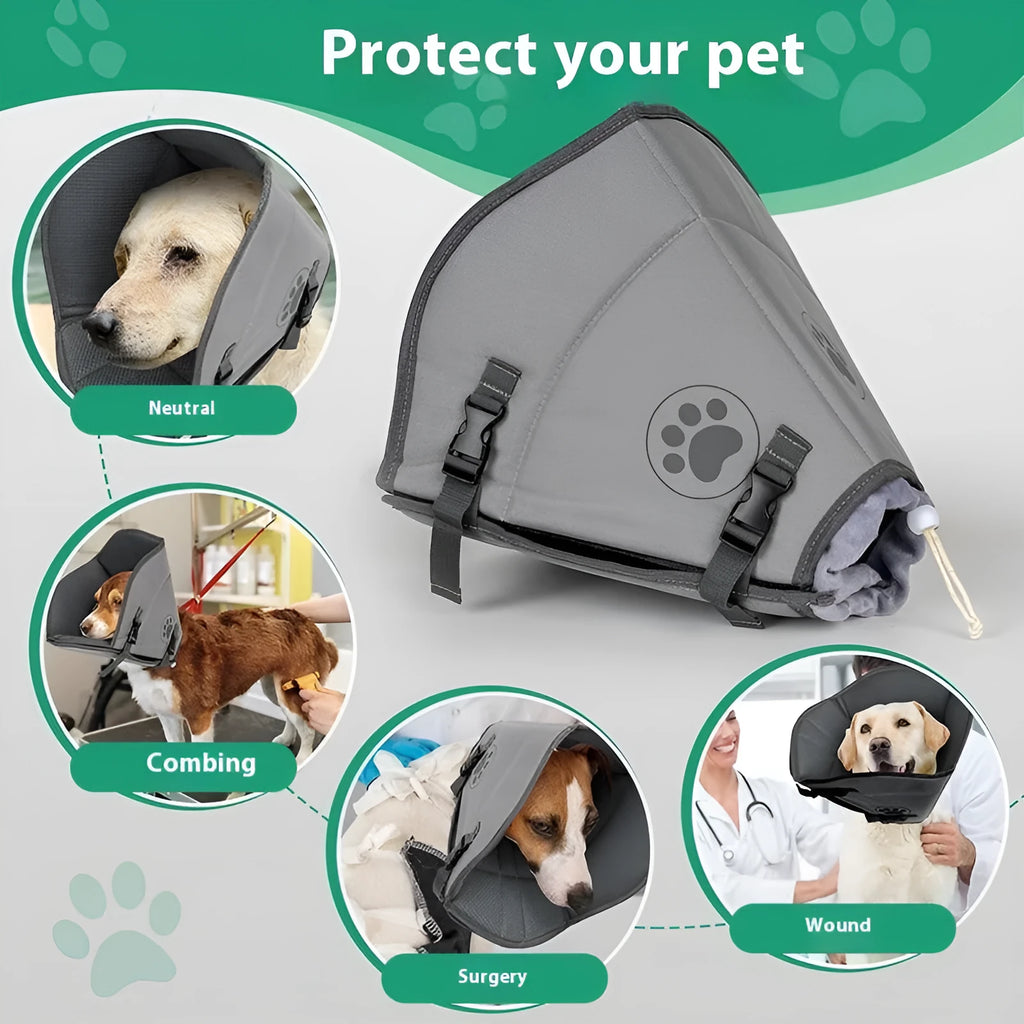 Soft adjustable pet sterilisation collar in sizes L, M, XL shown on a dog.