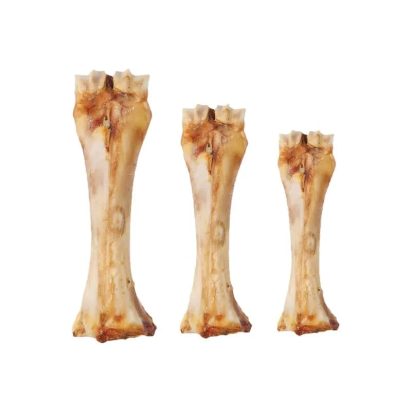 Puppy molar rod dental chew in three sizes for teething and training with calcium supplement