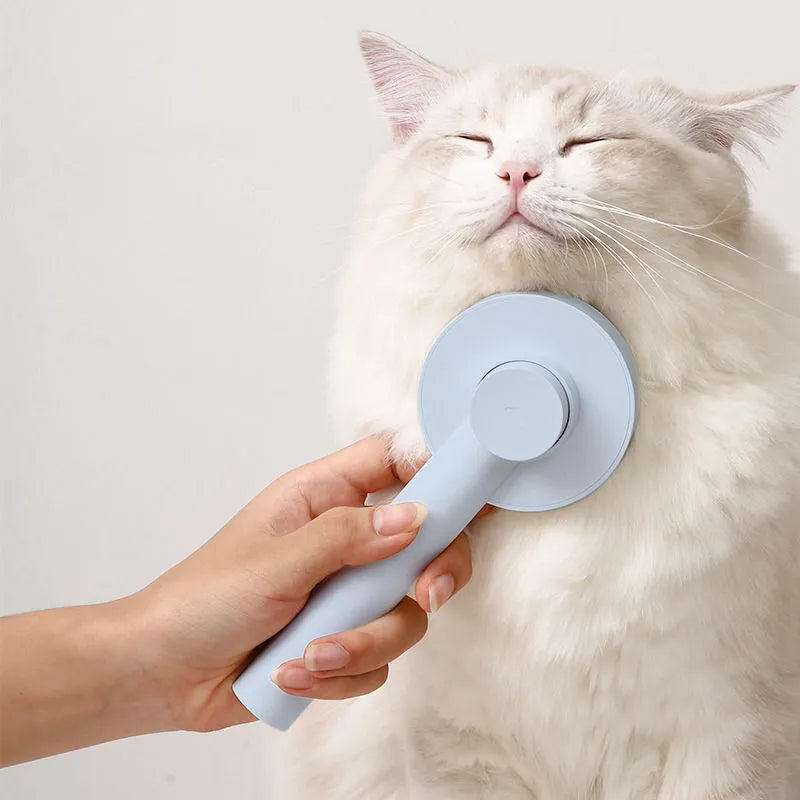 Pet cat comb hair brush for floating hair cleaner in white with one-click hair removal