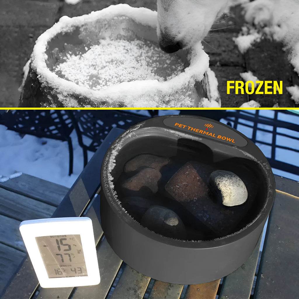 Black ABS plastic pet heating bowl with constant temperature function and 2.2L capacity