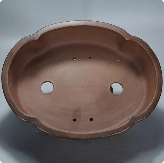 A large, simple purple clay bonsai pot on a table, suitable for indoor plants.