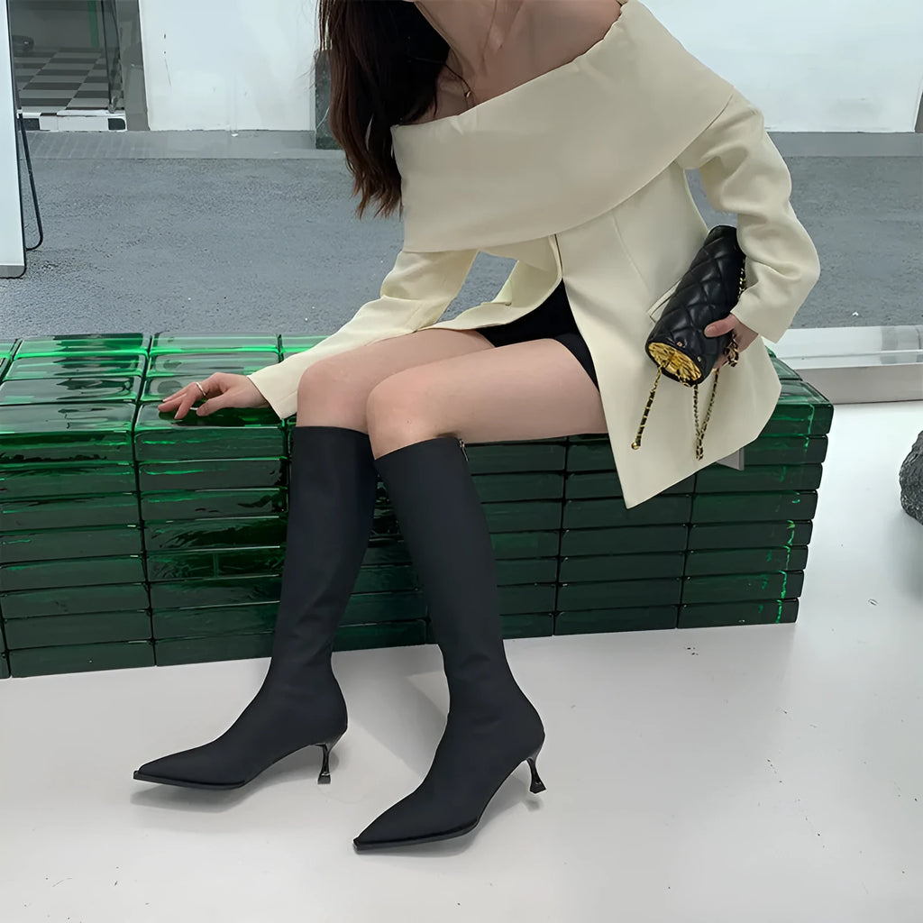 Black women's pointed toe below-knee boots with stiletto heel and back zipper on a white background.