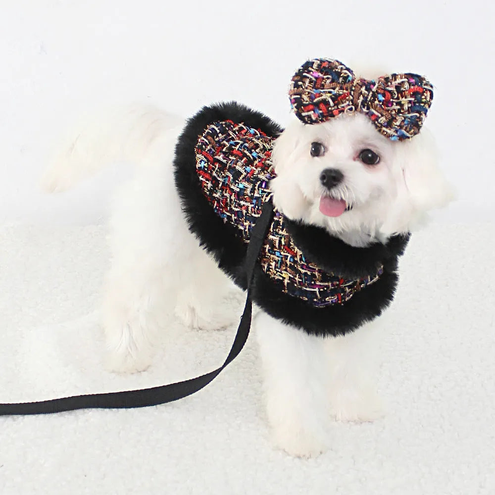 A dog wearing a classic-style cloth chest harness with an attached decorative cloak and integrated hand-holding rope.