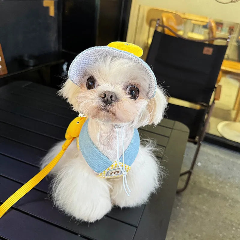 Colourful adjustable dog harness and wire rope leash set with a cute hat for spring summer pet outings.